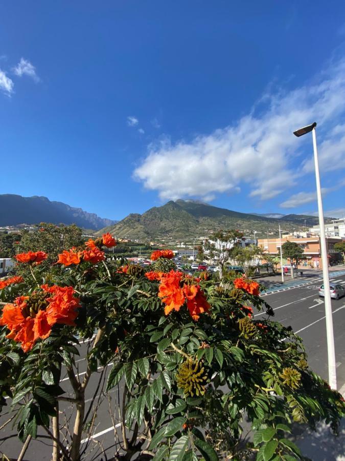 Casatranquila Διαμέρισμα Los Llanos De Aridane Εξωτερικό φωτογραφία